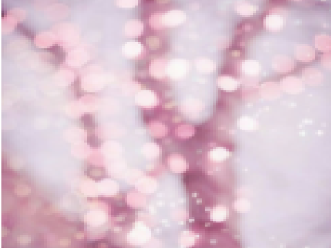 Project thumbnail
