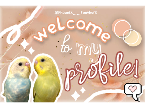 Welcome to my Profile! 