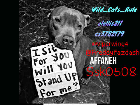 Remix this if you are against animal cruelty