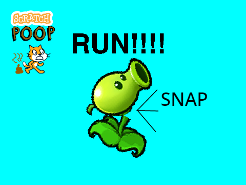 Scratch Poop S1E2: Why you SHOULD run across the street