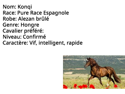 Vente de chevaux !!!