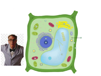 Cell Project meme