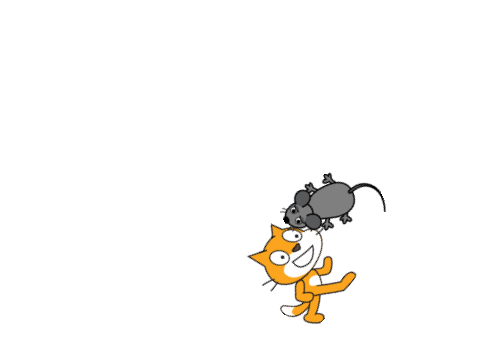 cat and mouse