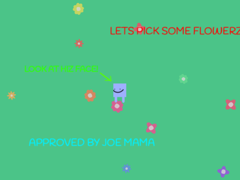 admire ze flowerz