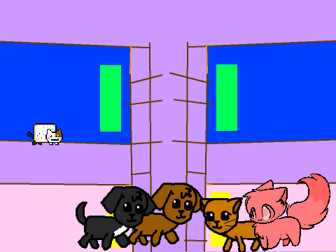Cat and dog home