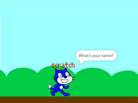 scratch pet