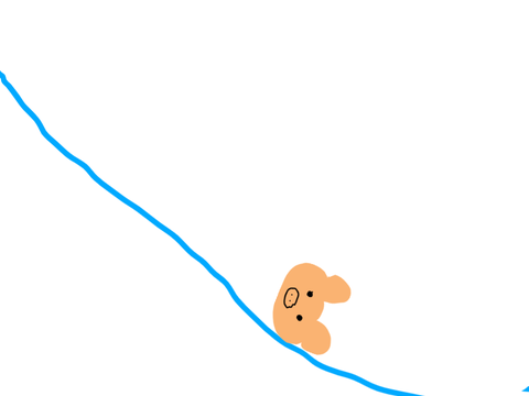 Gravity Pig