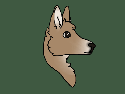 Doe