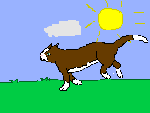 Warrior Cats- Rosestar- Run Cycle