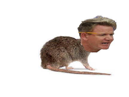 gordon ratsy