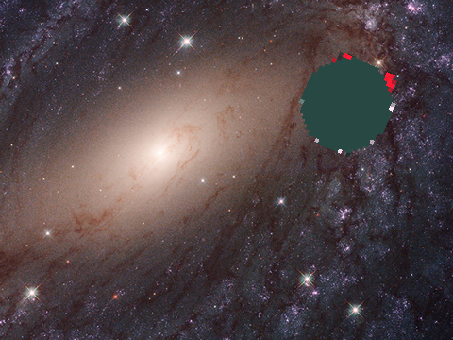 Black hole cat