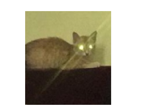 Possessed Rustii 