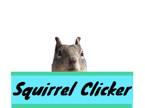 Squirrel Butt Clicker