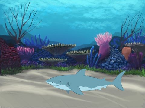 shark