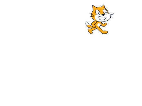 moving cat