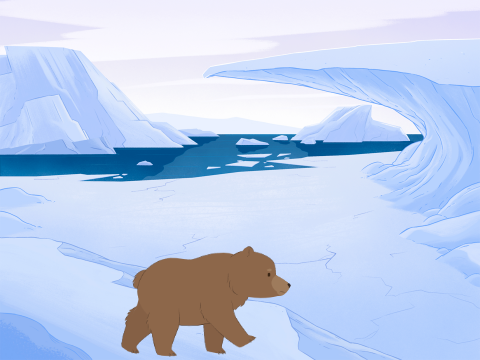 The Bear That Will Never Stop Walking remix