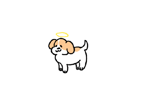 Biscuit