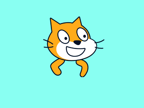 cursed cat