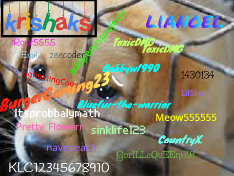 STOP ANIMAL ABUSE (add your name) remix 
