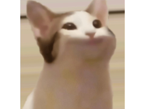 pOpcat. 