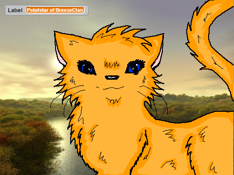 Create a Cat