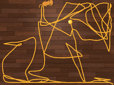 Yarn