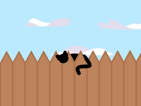 The cat and The dog