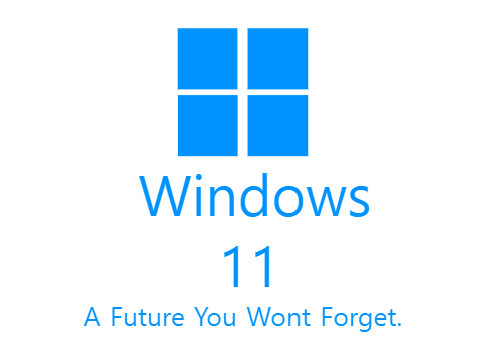 Windows 11 (OS Build 1.0.5)
