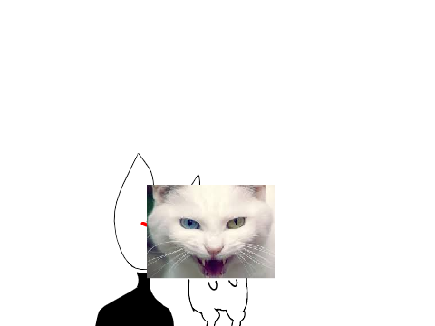 i put my cat on mic|meme|