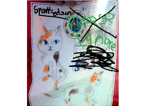 Spottedsun OC