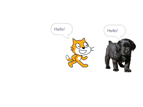 animaton starter