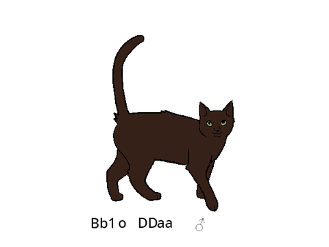 Realistic Random Cat Randomizer (with simple gene code)