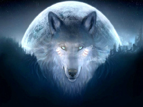 wolf song remix-2