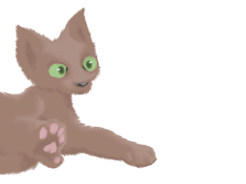 Photoshop tests
