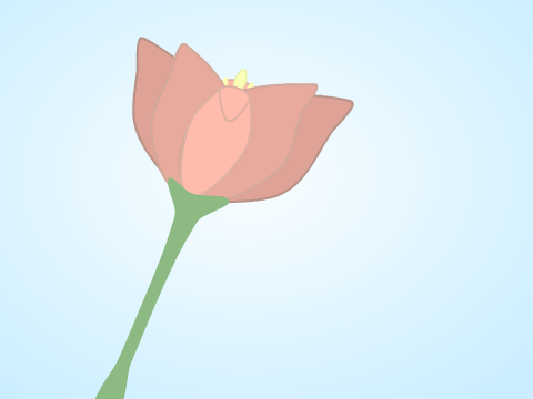 ♥ Blooming Flower Animation ♥