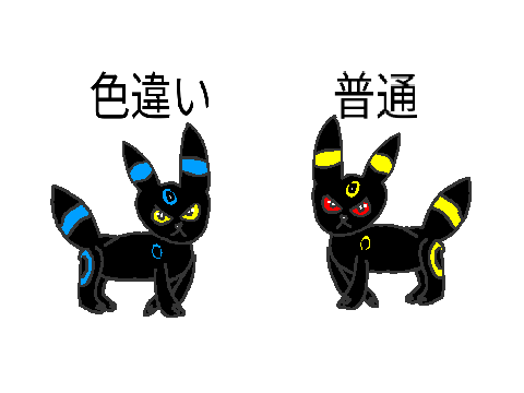 ブラッキー普通、色違い