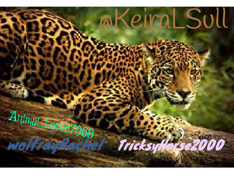 save the leopards remix remix remix