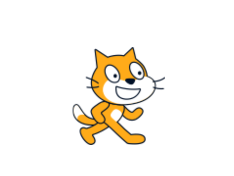 Scratch cat test