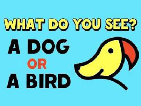 Dog or bird?