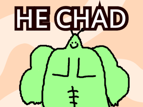 HE CHAD