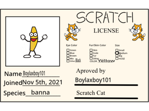 My scratch license
