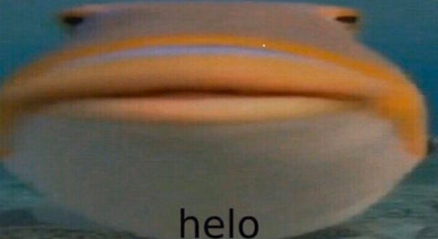 I would like to joioioninionionioion