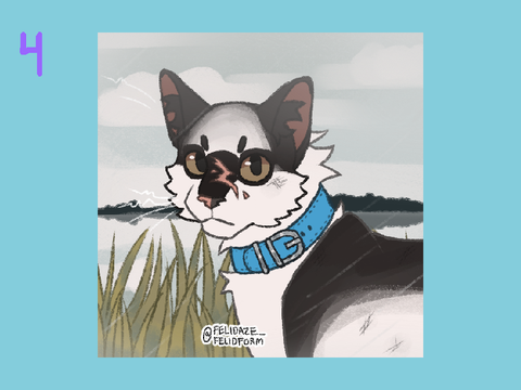 Warrior Cats OC Contest [OPEN] remix