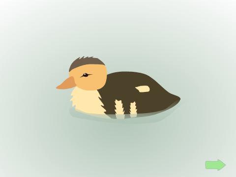 Birds for @languagegal14