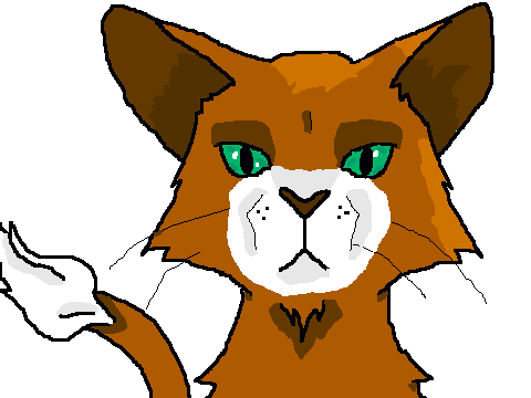 Kneazle Contest Entry