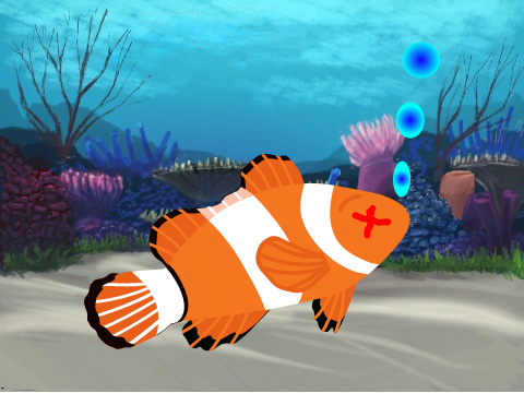 A fish's life