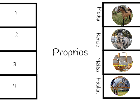 Plan - LEV