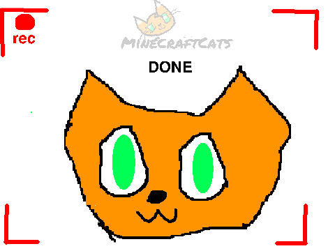 my first speed paint