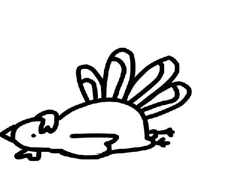 Happy Thanksgiving