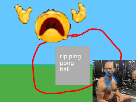 when da ping pong ball dies